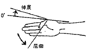 母指の屈曲（MCP）／伸展（MCP）の参考図