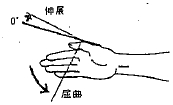 母指の屈曲（IP）／伸展（IP）の参考図