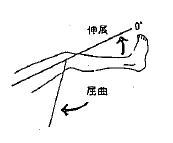 膝の屈曲／伸展の参考図