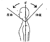 頸部の屈曲（前屈）の参考図