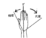 手の撓屈／尺屈の参考図